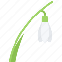eco, ecology, flower, green, nature, snowdrop