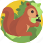 acorn, animal, cute, green, leaf, nature, squirrel 