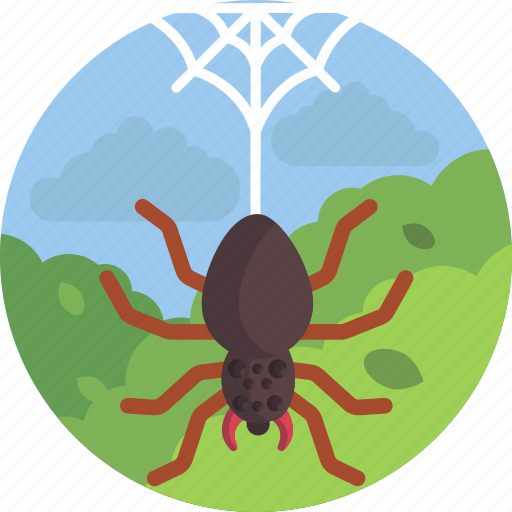 Animal, fauna, habitat, nature, spider, spiderweb icon - Download on Iconfinder