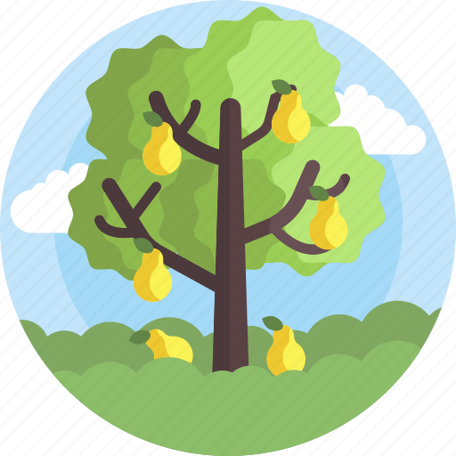 Flora, food, green, leaf, nature, pear, tree icon - Download on Iconfinder