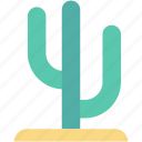 cactaceae, cactus, cactus plant, cactus tree, generic tree