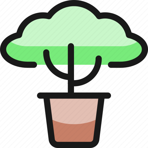 Bonsai, plant icon - Download on Iconfinder on Iconfinder