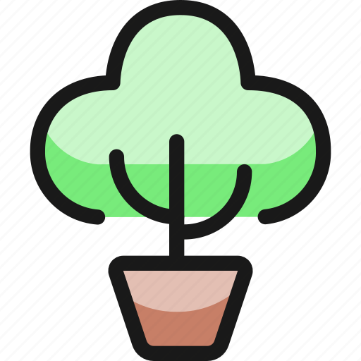 Plant, bonsai icon - Download on Iconfinder on Iconfinder