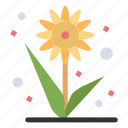 farming, flower, plant, sunflower