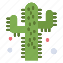 cactus, farming, plant