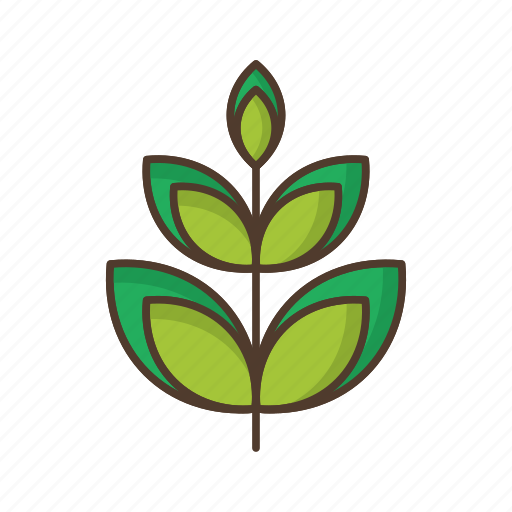 Branch, floral, flower, garden, leafage, nature, plant icon - Download on Iconfinder