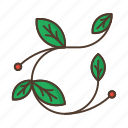 berries, branch, floral, garden, leafage, nature, plant