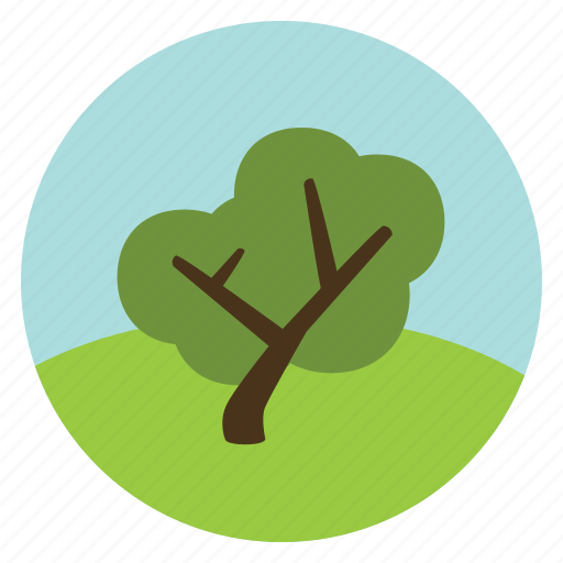 Forest, leaves, nature, oak, olive, tree, woods icon - Download on Iconfinder