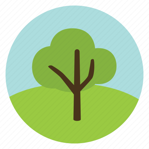 Forest, green, leaves, nature, olive, tree, woods icon - Download on Iconfinder