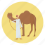 animal, bedouine, bedouines, camel, desert, egypt, nature 