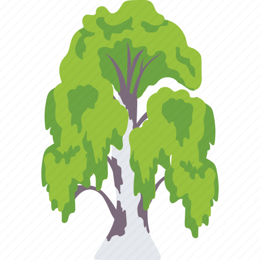 Evergreen, foliage, greenery, nature, weeping willow icon - Download on Iconfinder