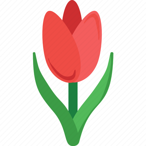 Blossom, floral, flower, nature, tulip icon - Download on Iconfinder