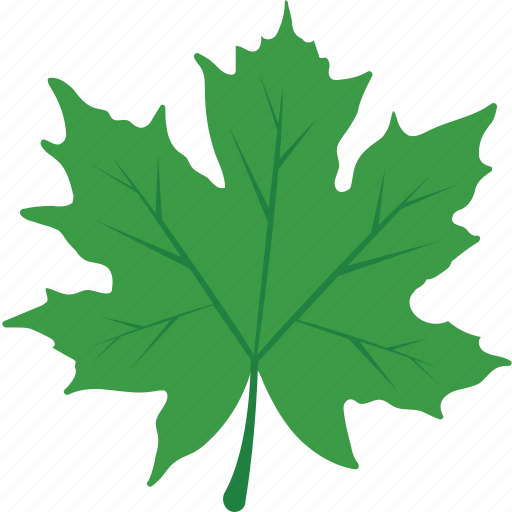 Autumn, foliage, leaf, maple leaf, nature icon - Download on Iconfinder