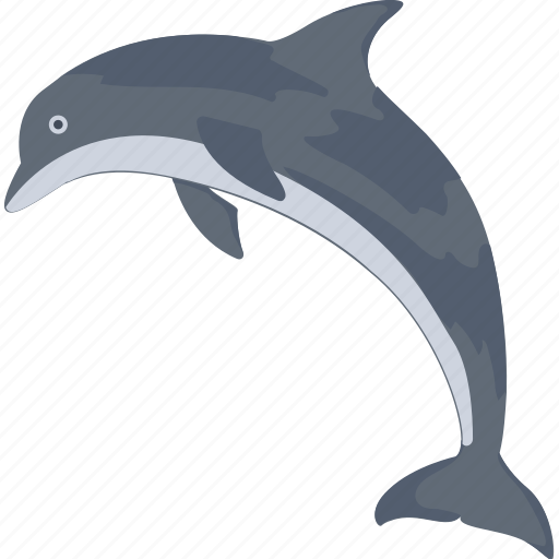 Animal, dolphin, mammal, sea, whale icon - Download on Iconfinder