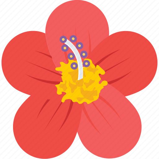 Anemone, bloom, flower, nature, spring icon - Download on Iconfinder