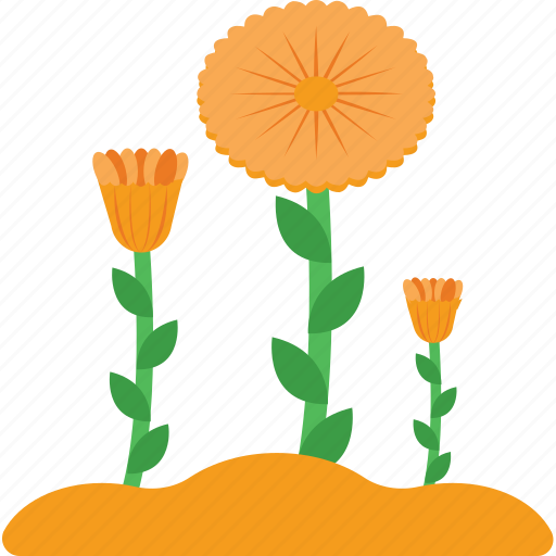 Bloom, blossom, flower, nature, spring icon - Download on Iconfinder