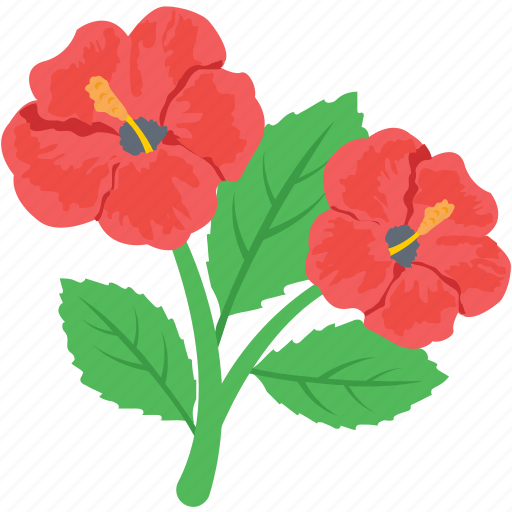 Flower, hibiscus, nature, rose mallow, spring icon - Download on Iconfinder