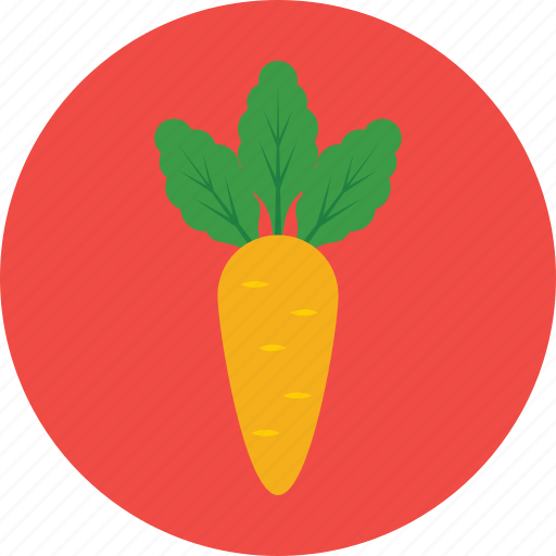 Carrot, food, organic, root vegetable, vegetable icon - Download on Iconfinder