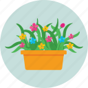 flower, garden, plant, pot, yard