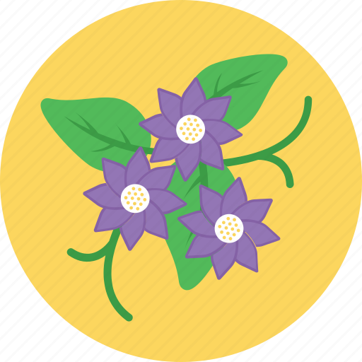 Bloom, flower, nature, pansy, spring icon - Download on Iconfinder