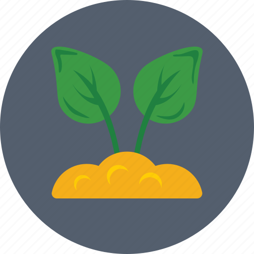 Foliage, leaves, plant, sapling, seedling icon - Download on Iconfinder