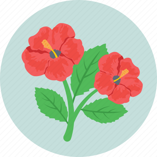 Flower, hibiscus, nature, rose mallow, spring icon - Download on Iconfinder