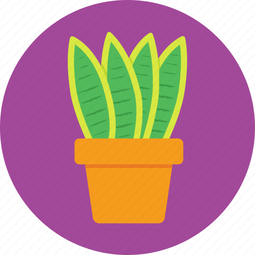 Aloe vera, garden, plant, pot, succulent icon - Download on Iconfinder