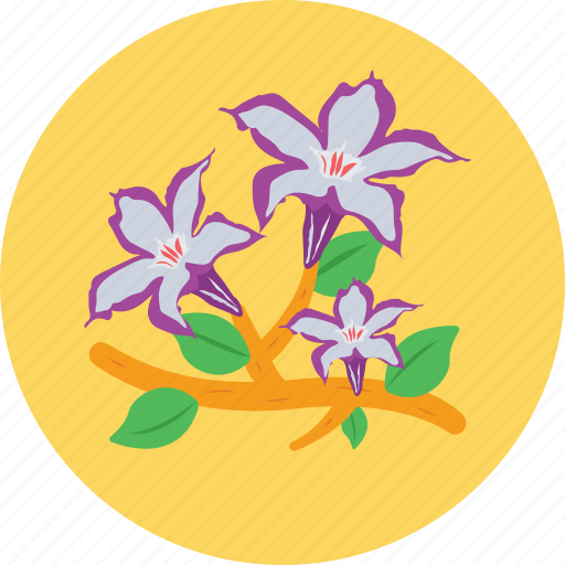 Candytuft, ecology, environment, floral, nature icon - Download on Iconfinder