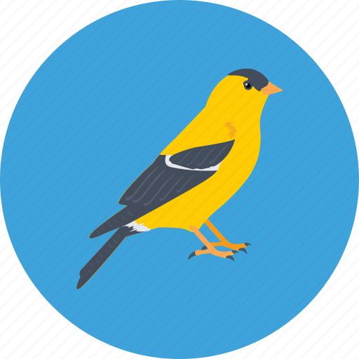 Bird, dove, fly, pigeon, sparrow icon - Download on Iconfinder