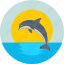 animal, dolphin, mammal, sea, whale 