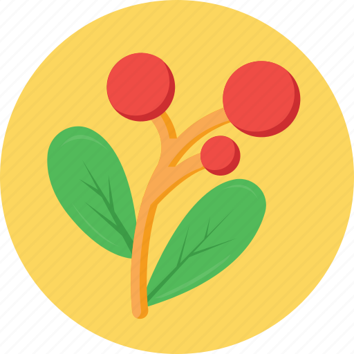 Flower, hyacinth, leaves, nature, plant icon - Download on Iconfinder