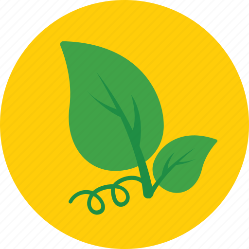 Ecology, foliage, greenery, leaf, nature icon - Download on Iconfinder