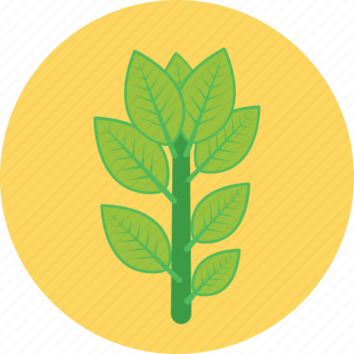Branch, ecology, leaves, plant, twig icon - Download on Iconfinder
