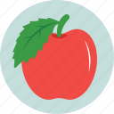 apple, diet, food, fruit, organic