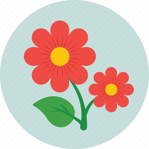 Blossom, daisy, floral, flower, nature icon - Download on Iconfinder