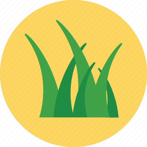 Grass, lawn, meadow, turf, yard icon - Download on Iconfinder