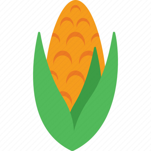 Cob, corn, maize, organic, sweet corn icon - Download on Iconfinder