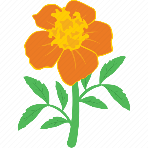 Blooming, blossom, daisy, flower, nature icon - Download on Iconfinder