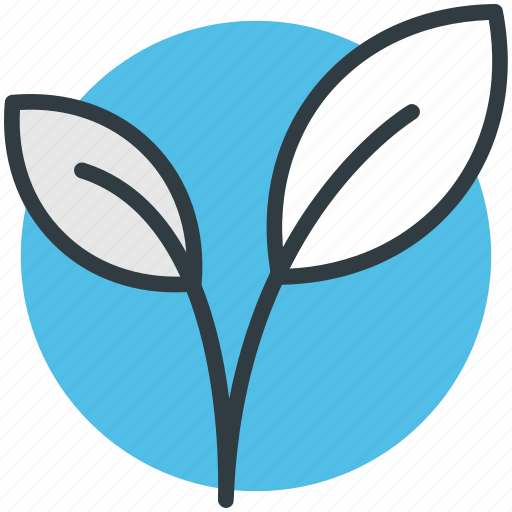 Ecology, leaflet, leaves, nature, tree branch icon - Download on Iconfinder