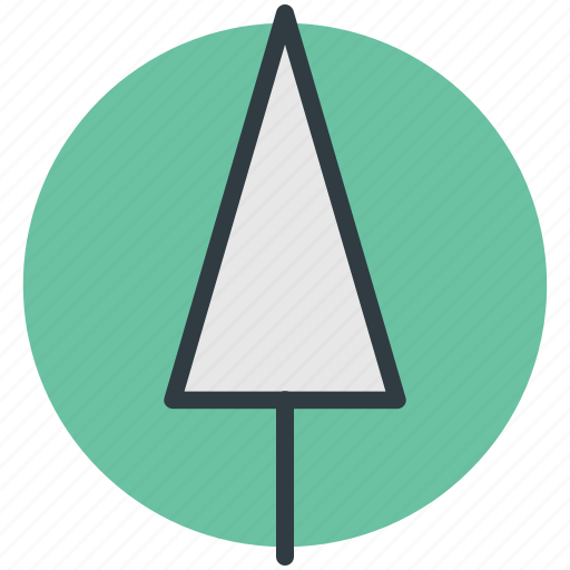 Cypress tree, evergreen tree, tree icon - Download on Iconfinder