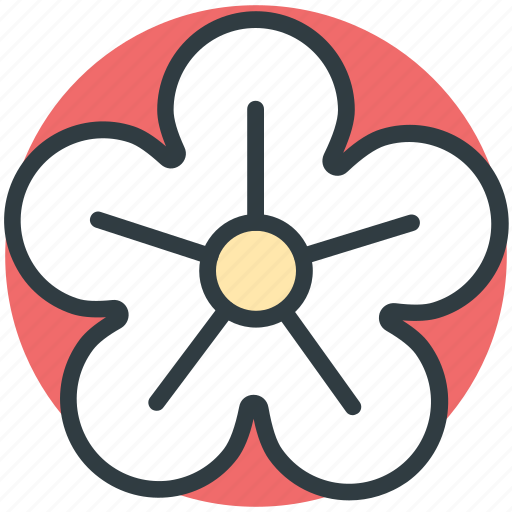 Beauty, blooming, buttercup flower, flower, nature icon - Download on Iconfinder