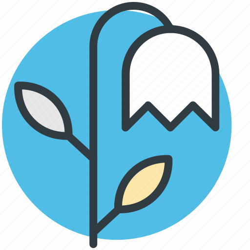 Beauty, flower, spring flower, tulip, tulip bud icon - Download on Iconfinder