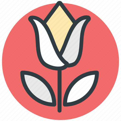 Flower, pot plant, spring flower, tulip, tulip bud icon - Download on Iconfinder