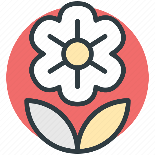 Chinese flower, decoration, flower beauty, nature inspiration icon - Download on Iconfinder