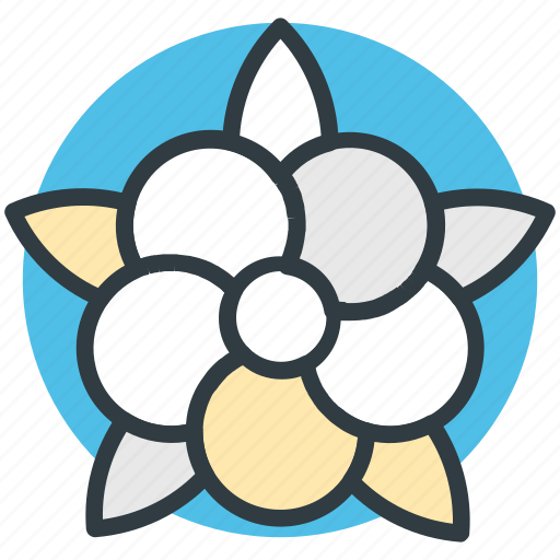 Chinese flower, decoration, flower beauty, nature inspiration icon - Download on Iconfinder