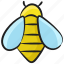 apis mellifera, bee, bumblebee, honeybee, queen bee 