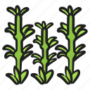 bamboo shoots, foliage, raster, tranquil tree, tropical plant