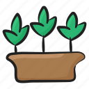 botany, eco, ecology, growing plant, nature, sprout