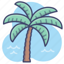 coast, island, palm, tree 