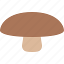 fungus, mushroom, portabella, portabello, portobello, toadstool
